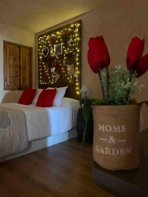 Luxury Danna Plaza Mayor Cuenca  Exterior foto